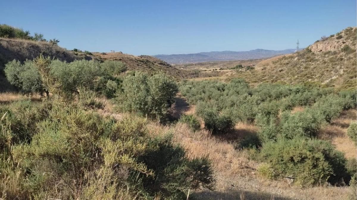 Terreno en venta en Huercal Overa, Almería photo 4