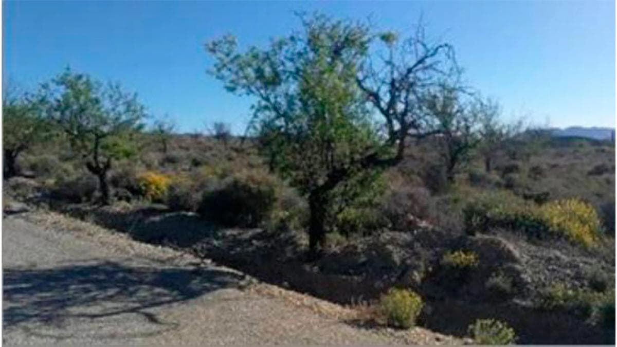 Terreno en venta en Huercal Overa, Almería photo 2