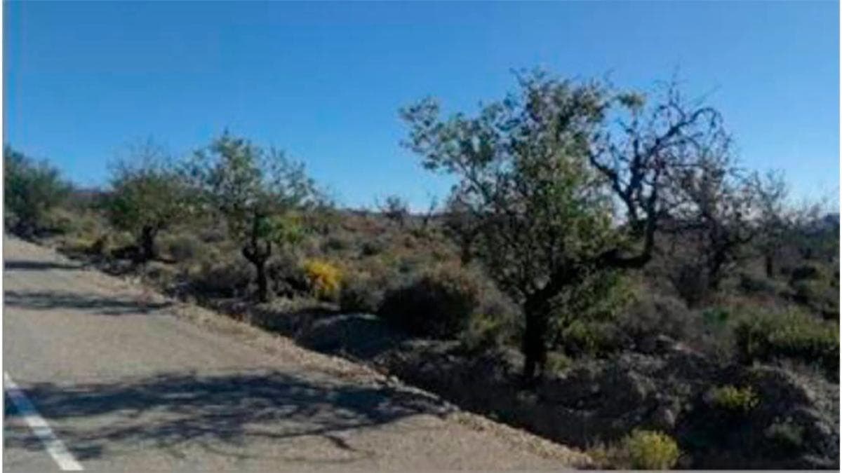 Terreno en venta en Huercal Overa, Almería photo 3
