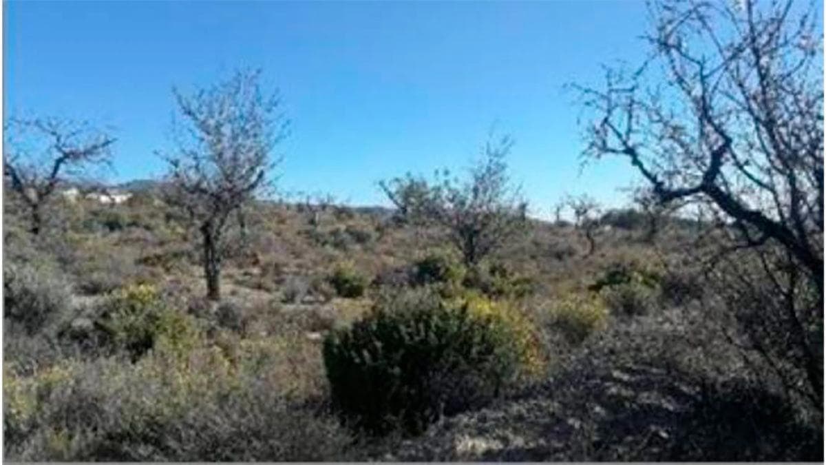 Terreno en venta en Huercal Overa, Almería photo 4