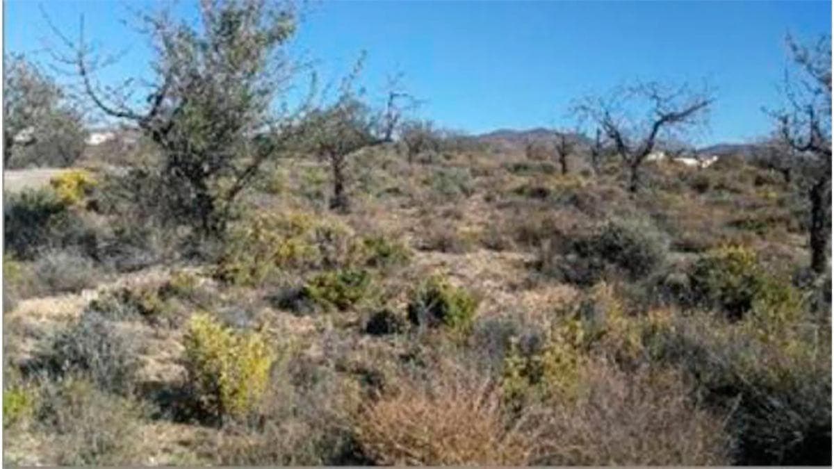 Terreno en venta en Huercal Overa, Almería photo 5