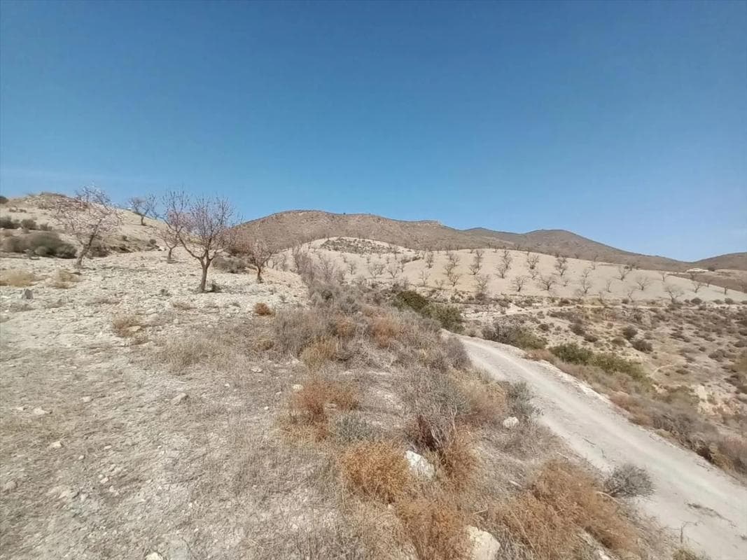 Terreno en venta en Huercal Overa, Almería photo 3