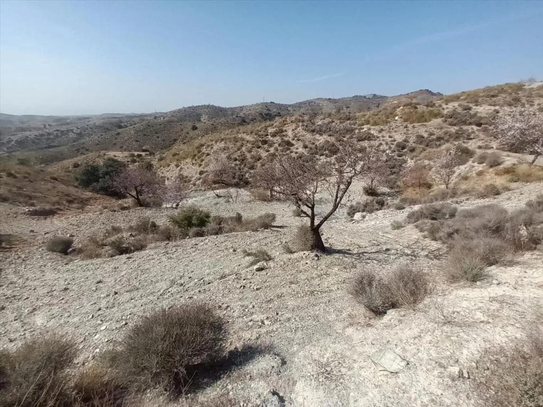 Terreno en venta en Huercal Overa, Almería photo 4