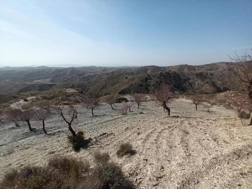 Terreno en venta en Huercal Overa, Almería photo 5