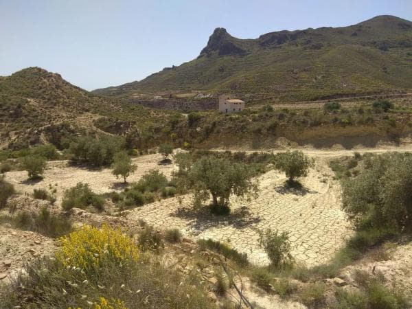 Terreno en Al-3105, 3105 ALsN thumbnail 2