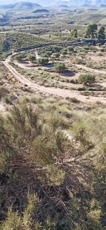 Terreno en Diseminado Barranco Lobos, 1 thumbnail 1