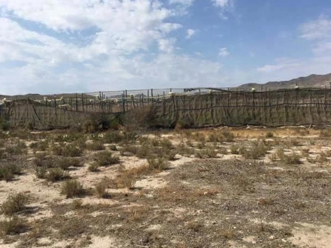 Terreno en venta en Sorbas, Almería photo 4