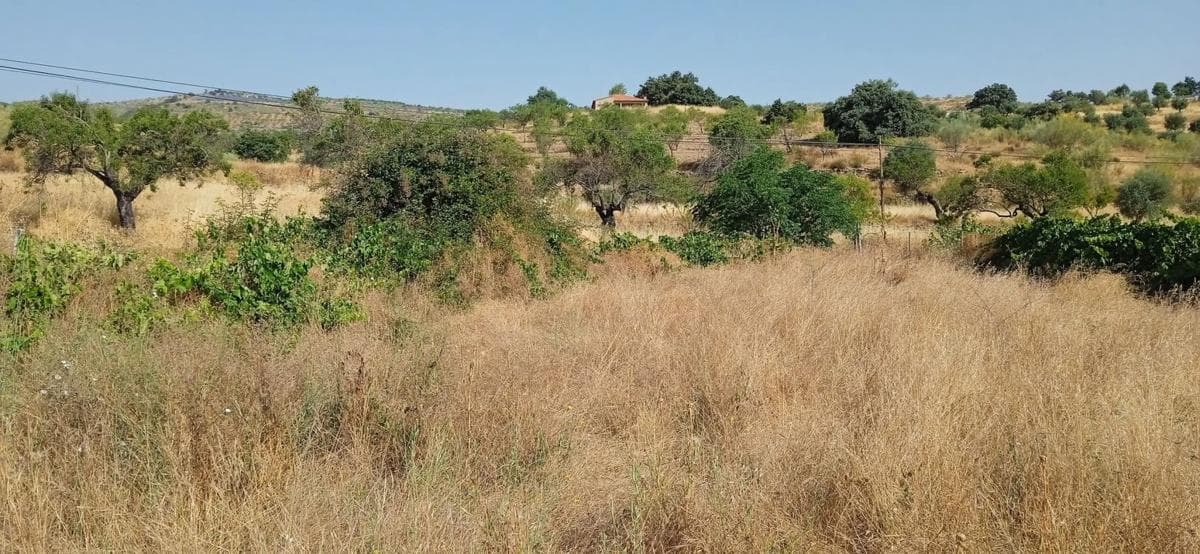 Terreno en venta en Tahal, Almería photo 2