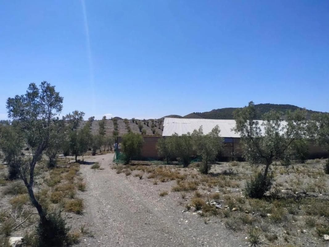 Terreno en venta en Gérgal, Almería photo 3