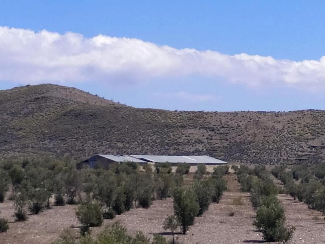 Terreno en venta en Gérgal, Almería photo 5