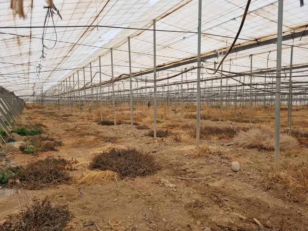 Terreno en venta en Uleila del Campo, Almería photo 4