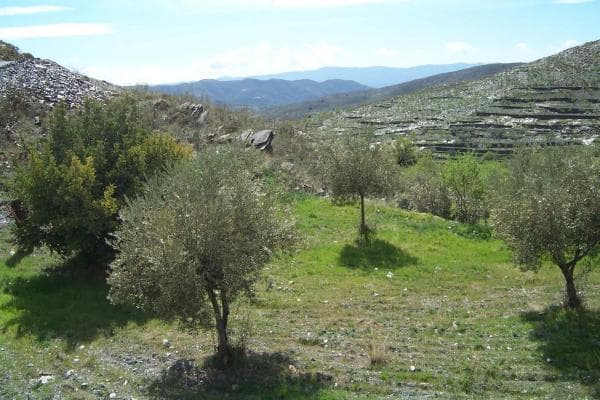 Terreno en Al-4100 s/n photo 2