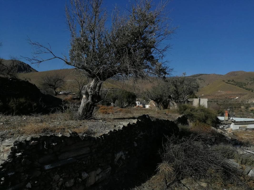 Terreno en venta en Gérgal, Almería photo 4