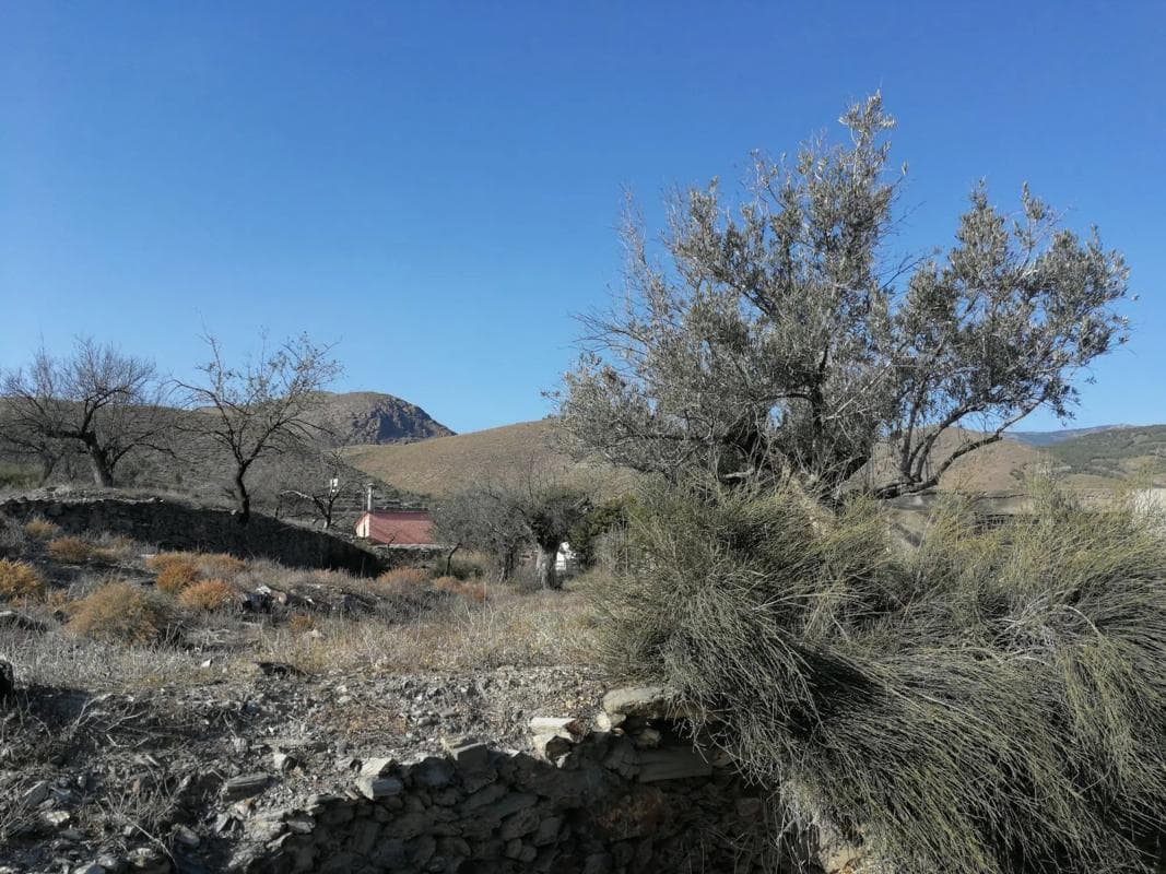 Terreno en venta en Gérgal, Almería photo 5