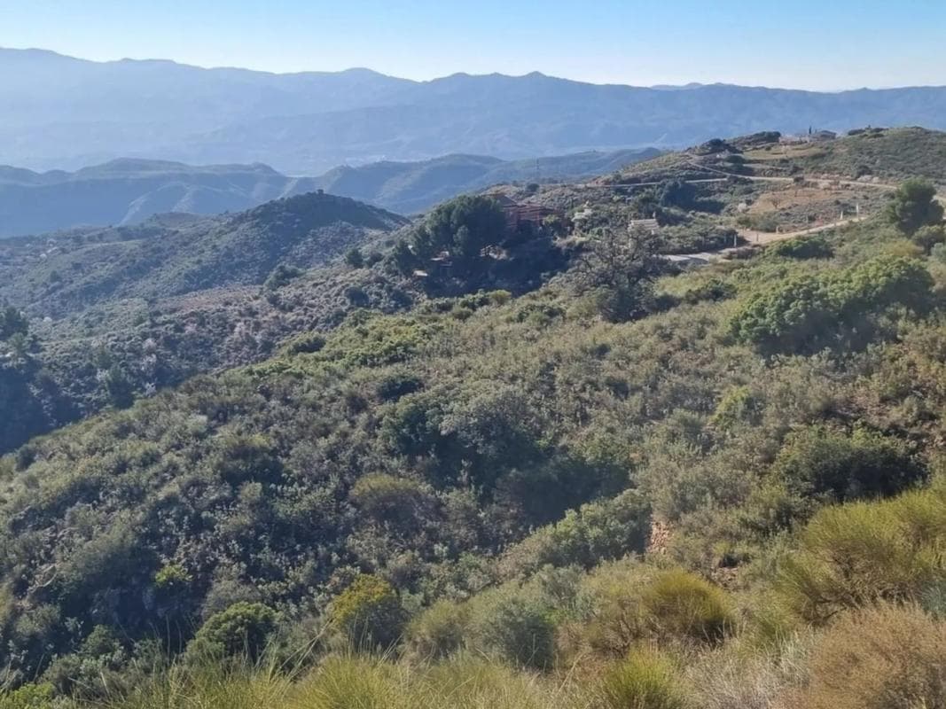 Terreno en venta en Bédar, Almería photo 5