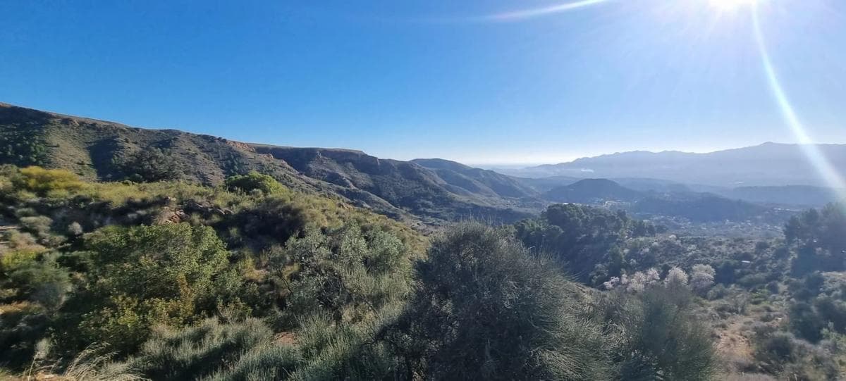 Terreno en venta en Bédar, Almería photo 3