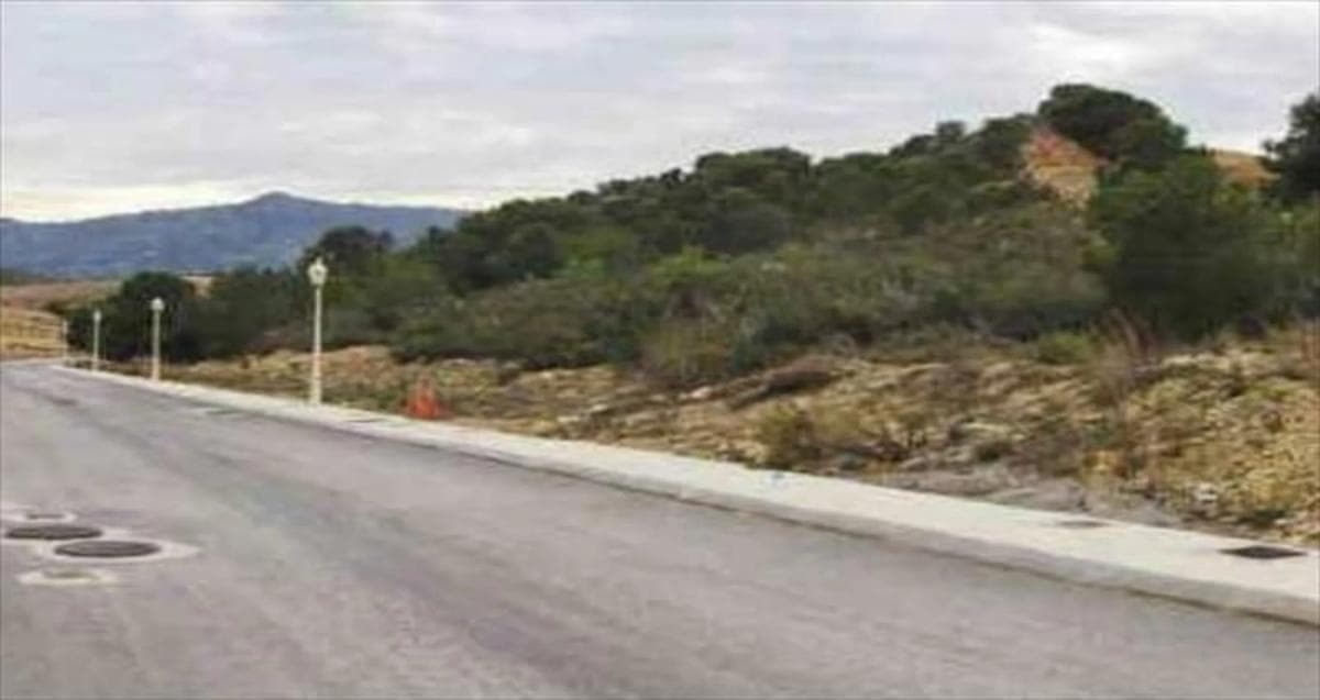 Terreno en venta en Bédar, Almería photo 5
