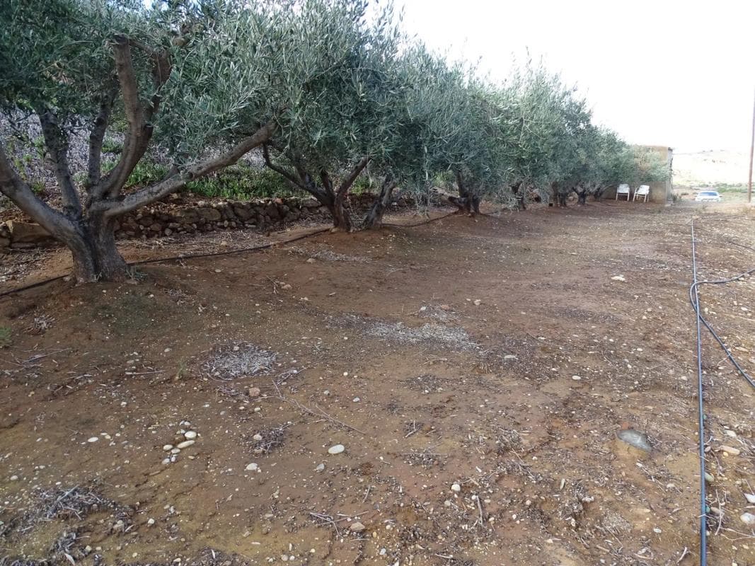 Terreno en venta en Antas, Almería photo 4