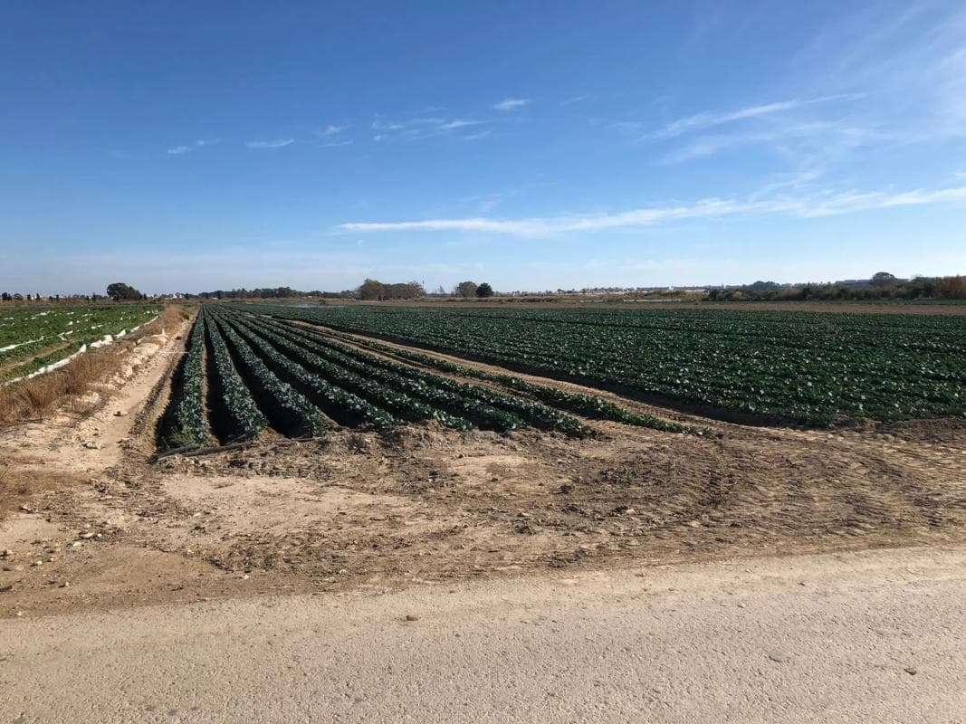 Terreno en venta en Garrucha, Almería photo 3