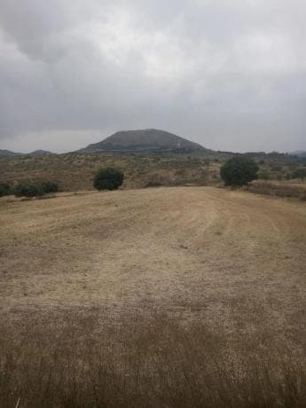 Terreno en Cortijo los Miras s/n photo 1