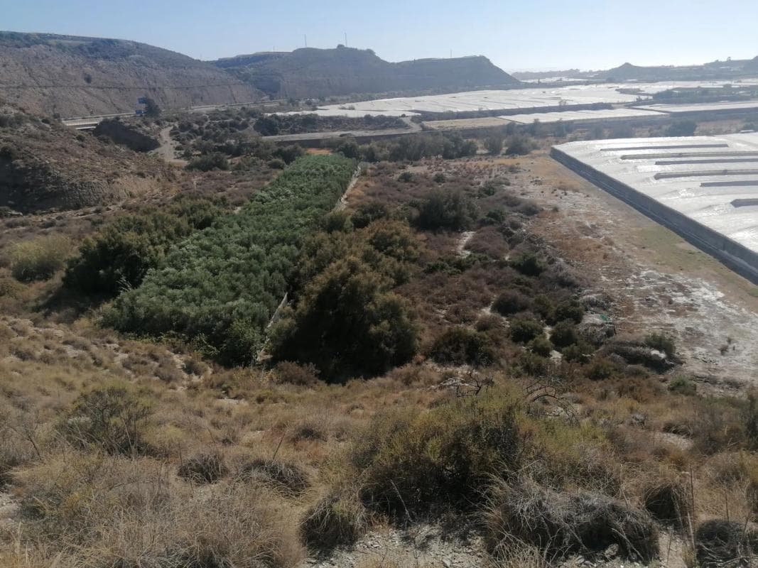 Terreno en venta en Adra, Almería photo 4