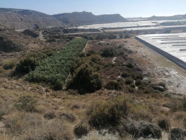 Terreno en canales s/n photo 4