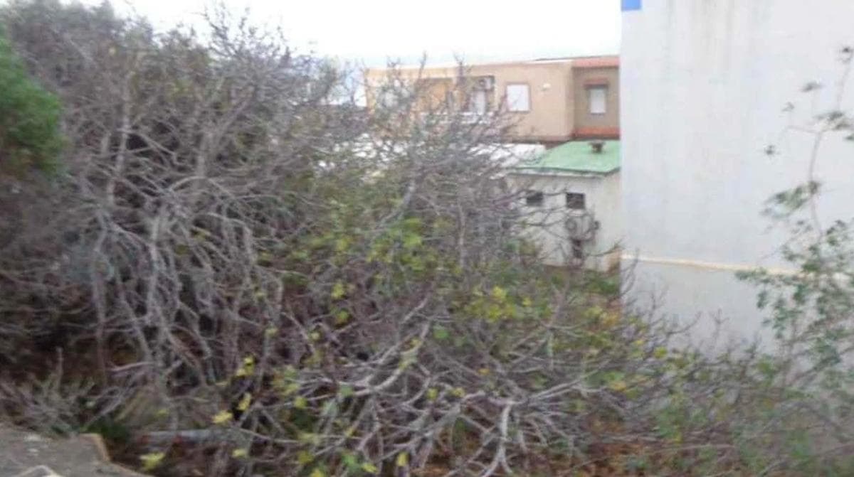 Terreno en venta en Adra, Almería photo 3