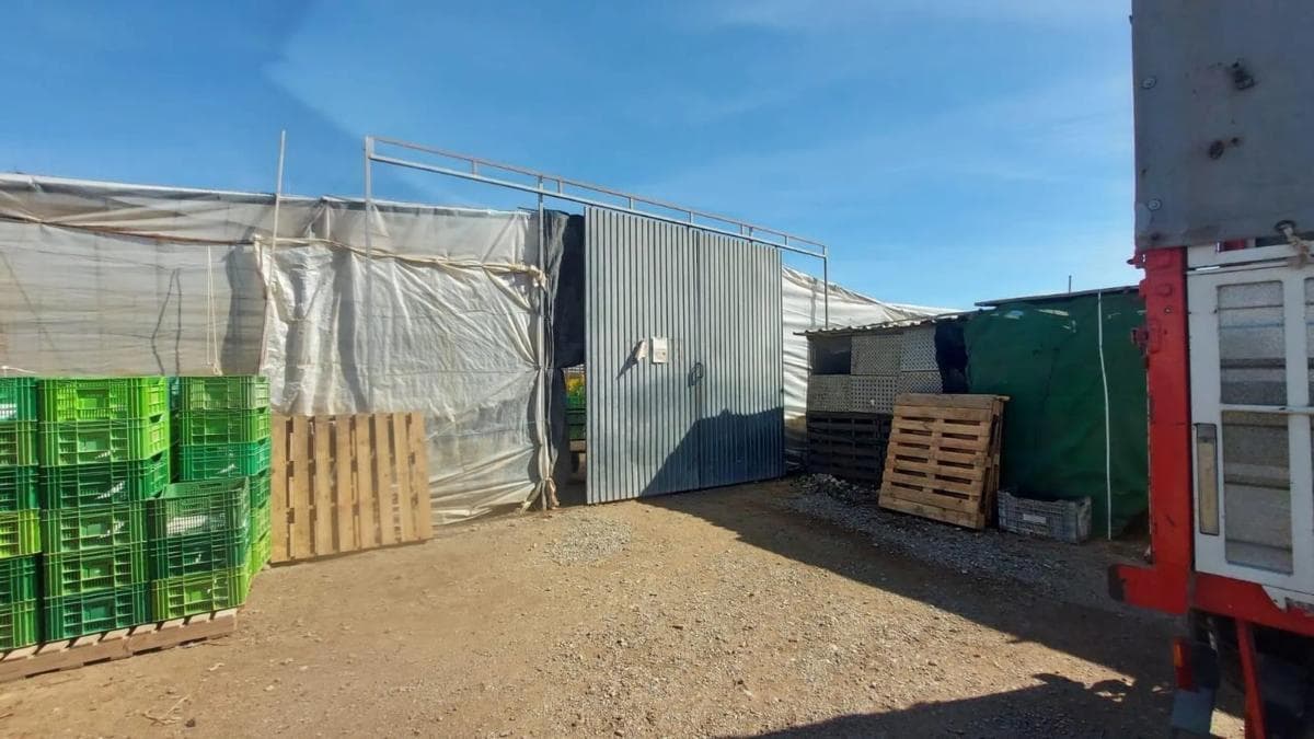 Terreno en venta en La Mojonera, Almería photo 3