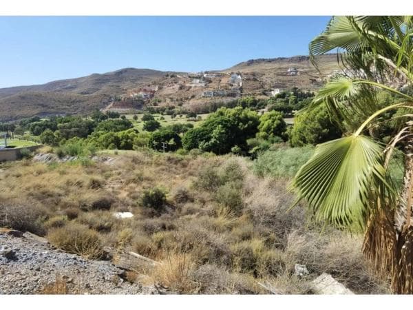 Terreno en calle los Olivos thumbnail 1