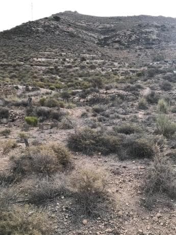 Terreno en carretera de Vícar s/n thumbnail 2