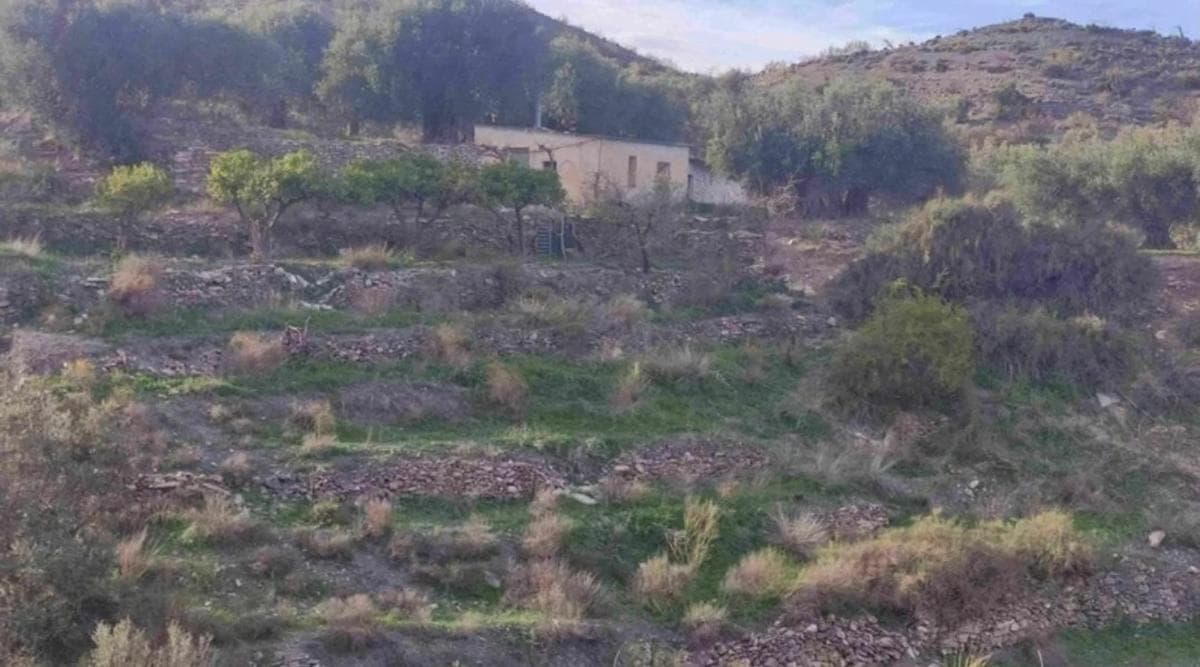 Terreno en venta en Sierro, Almería photo 4