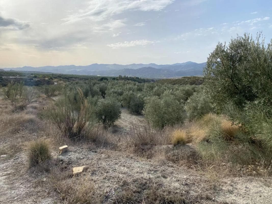 Terreno en venta en Urracal, Almería photo 5