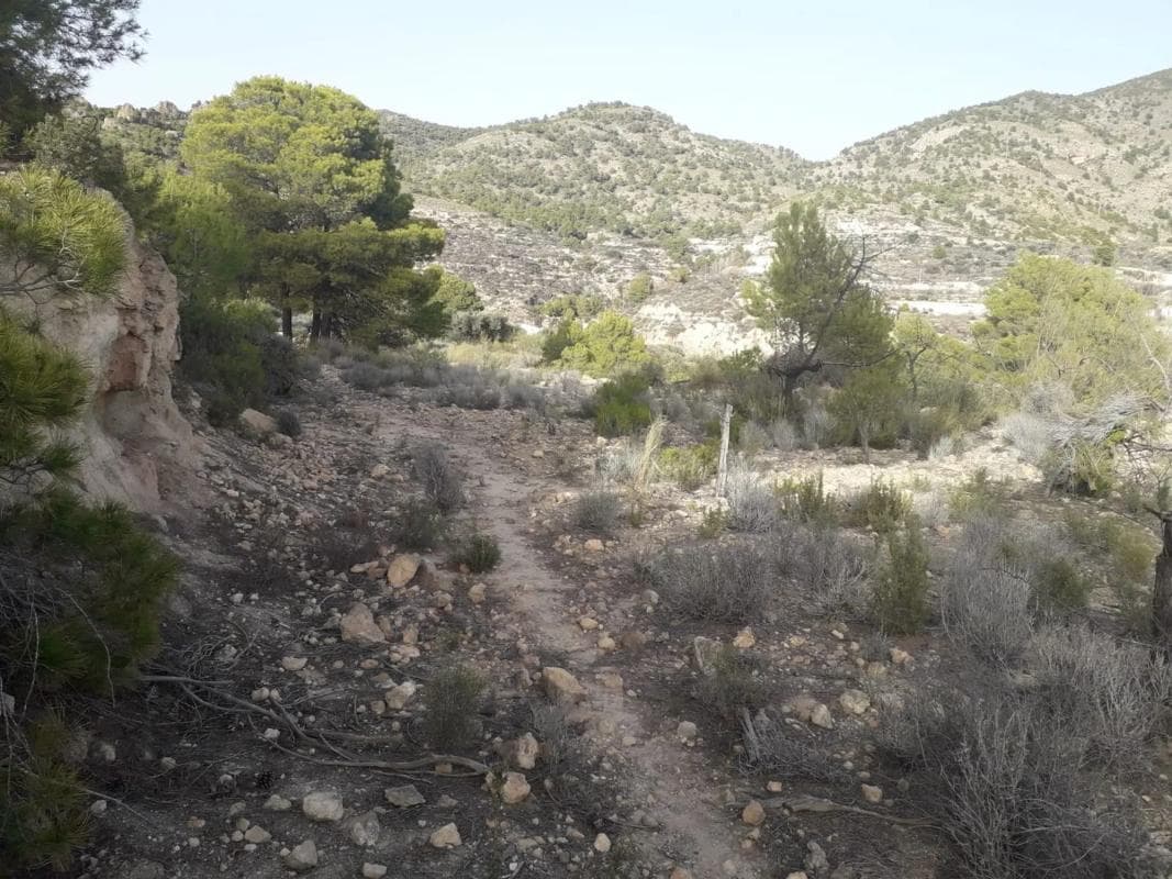 Terreno en venta en Urracal, Almería photo 5
