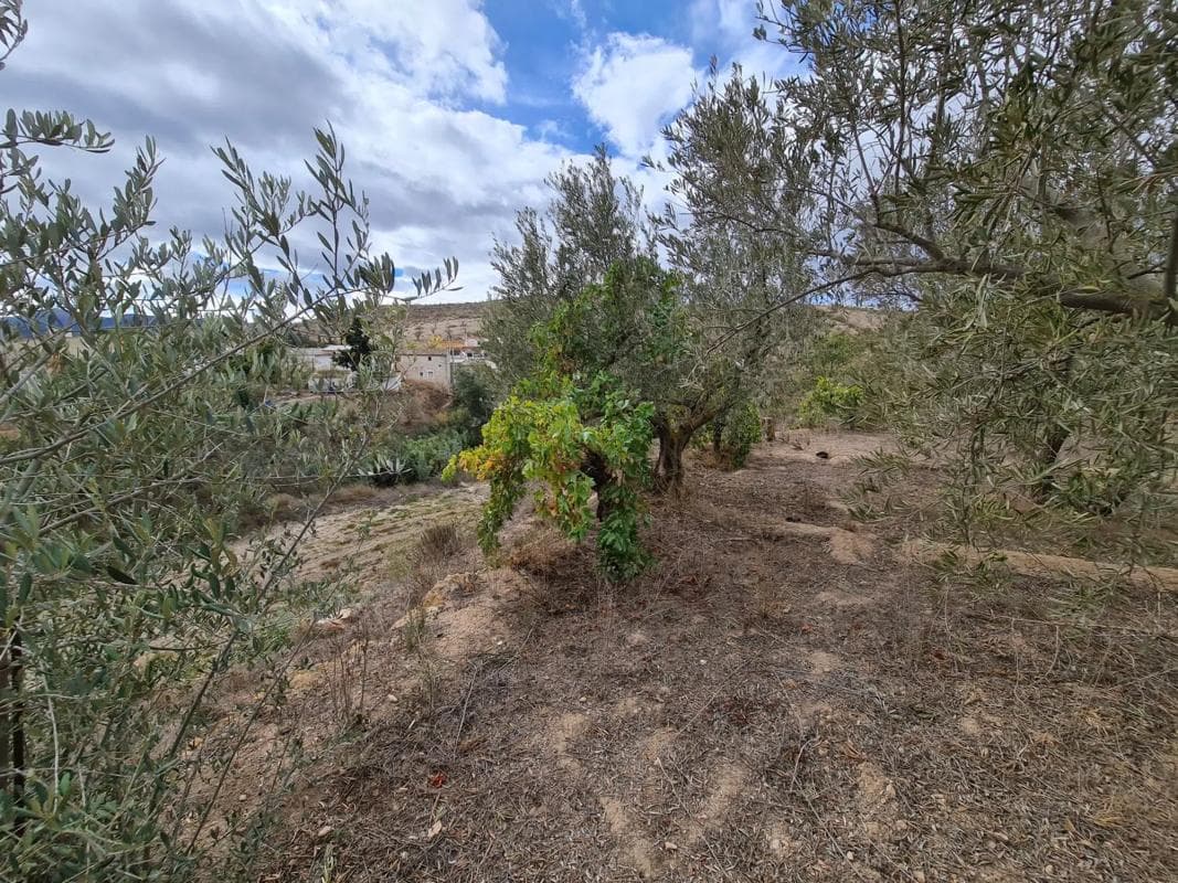 Property photo 5
