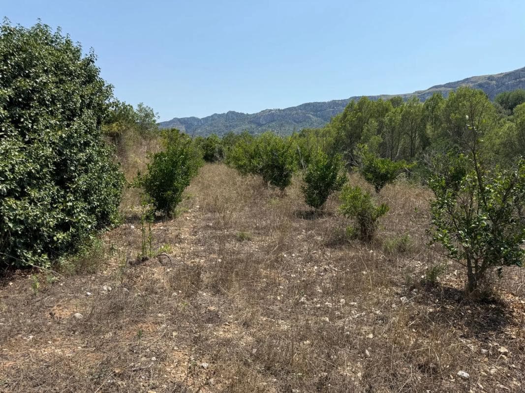Terreno en venta en Vall de Gallinera, Alicante photo 4