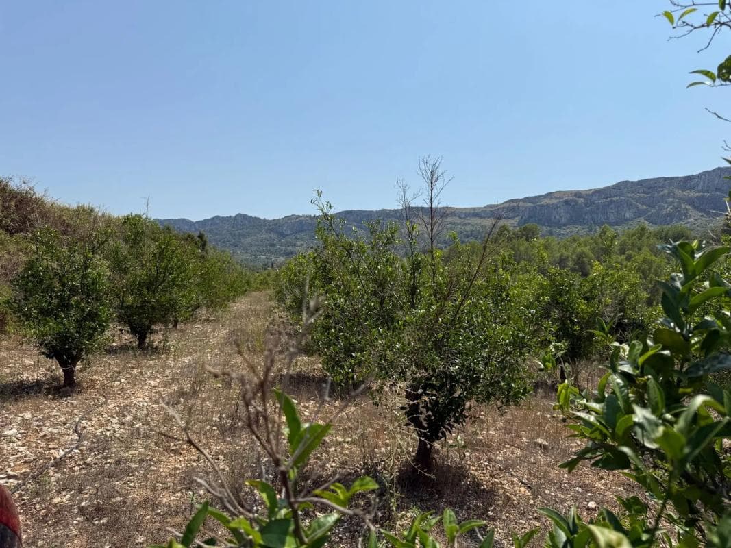 Terreno en venta en Vall de Gallinera, Alicante photo 5