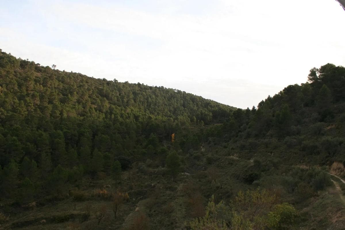Venta de finca rústica en Diseminado Partida Marfullar s/n , Biar photo 3