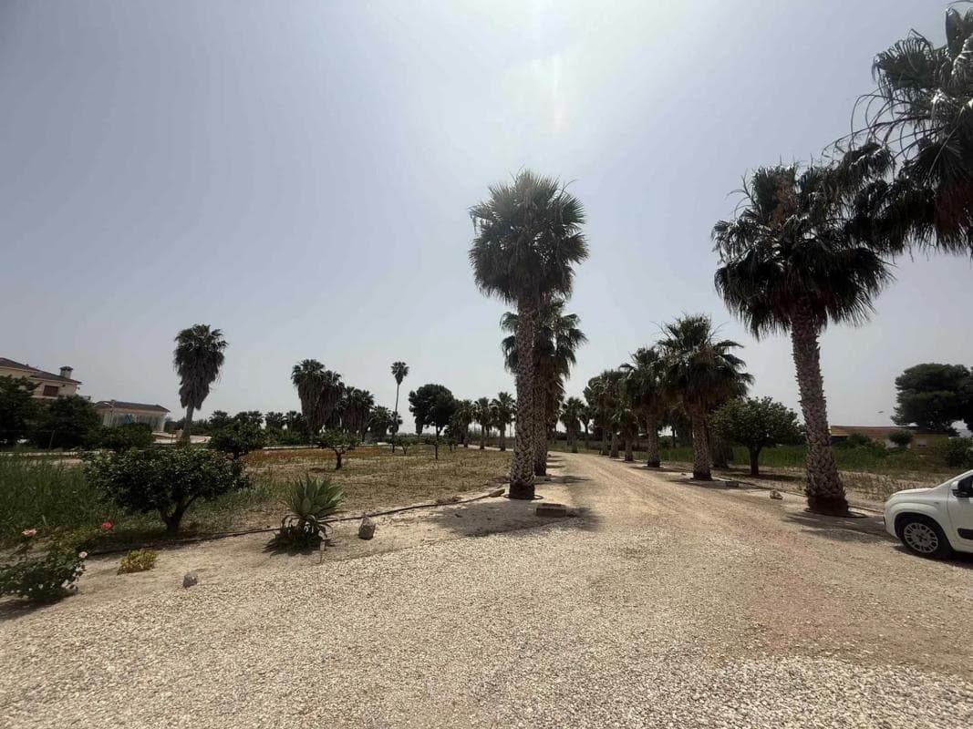 Venta de finca rústica en Fogaria , Almoradí photo 4