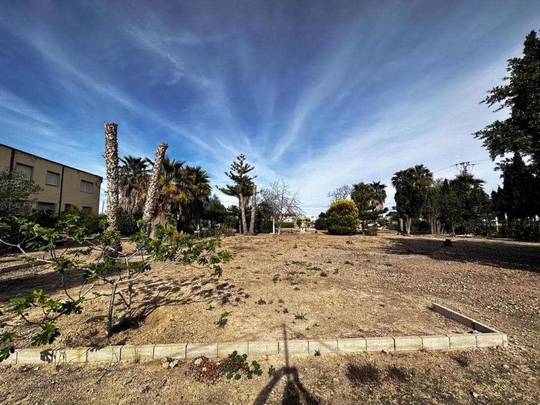 Venta de finca rústica en Callosa de Segura , Callosa de Segura photo 3