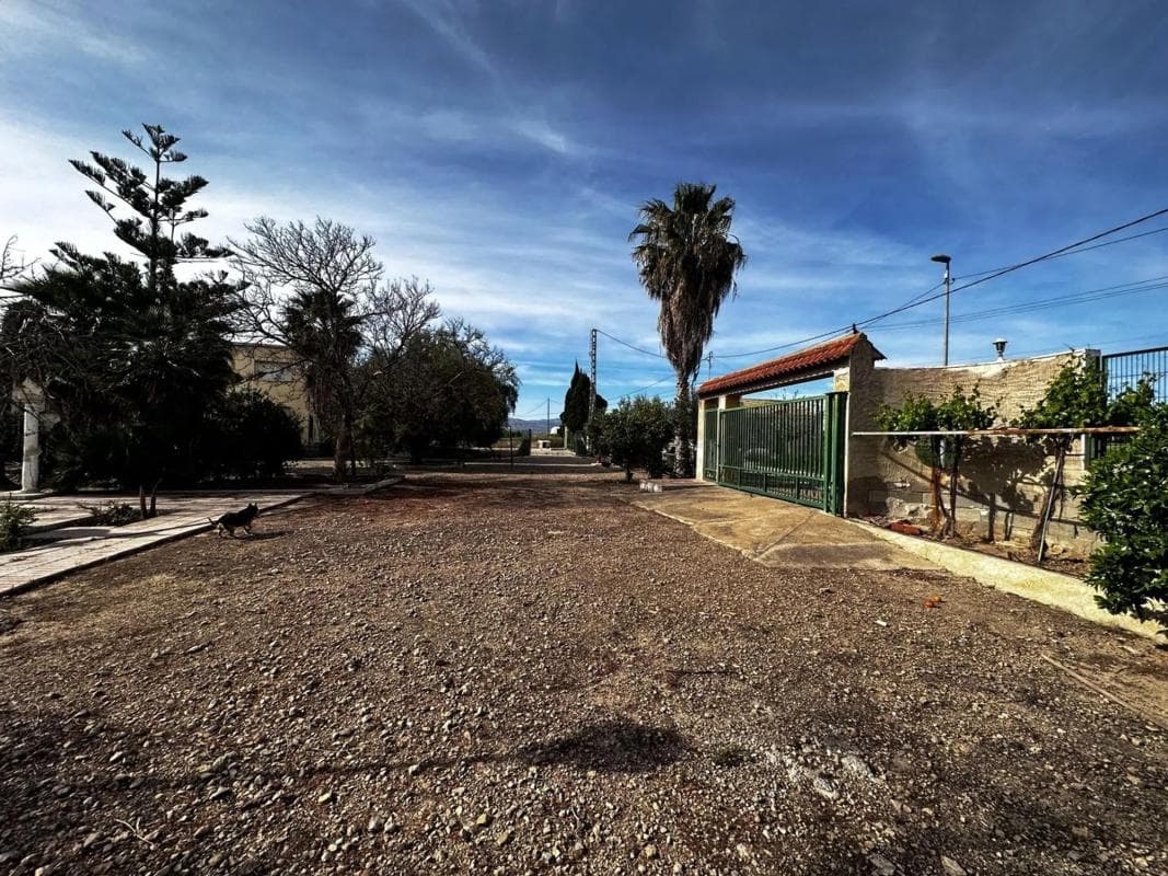 Venta de finca rústica en Callosa de Segura , Callosa de Segura photo 5