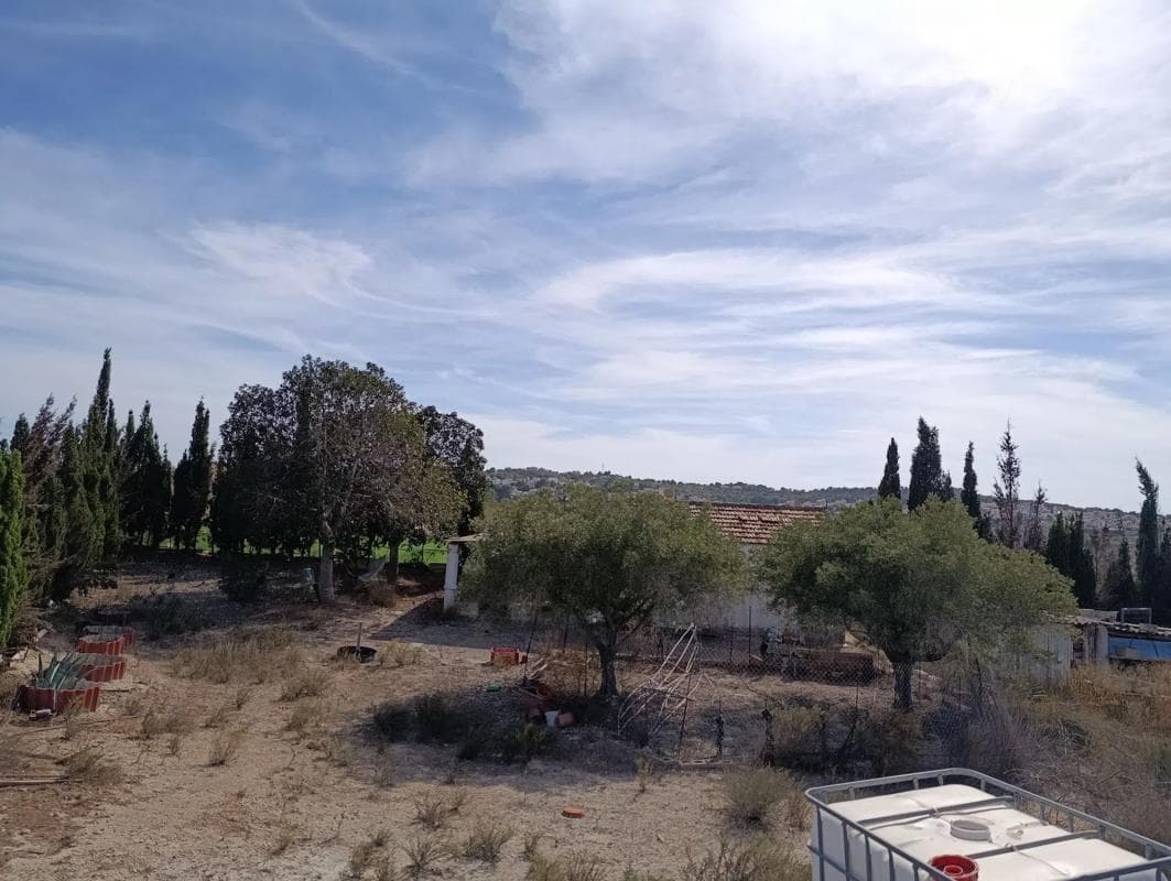Venta de finca rústica en Terreno rústico s/n , San Miguel de Salinas photo 3