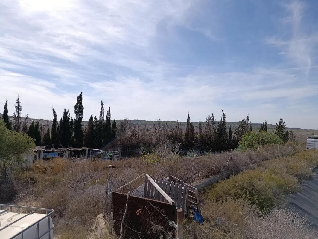 Venta de finca rústica en Terreno rústico s/n , San Miguel de Salinas photo 4