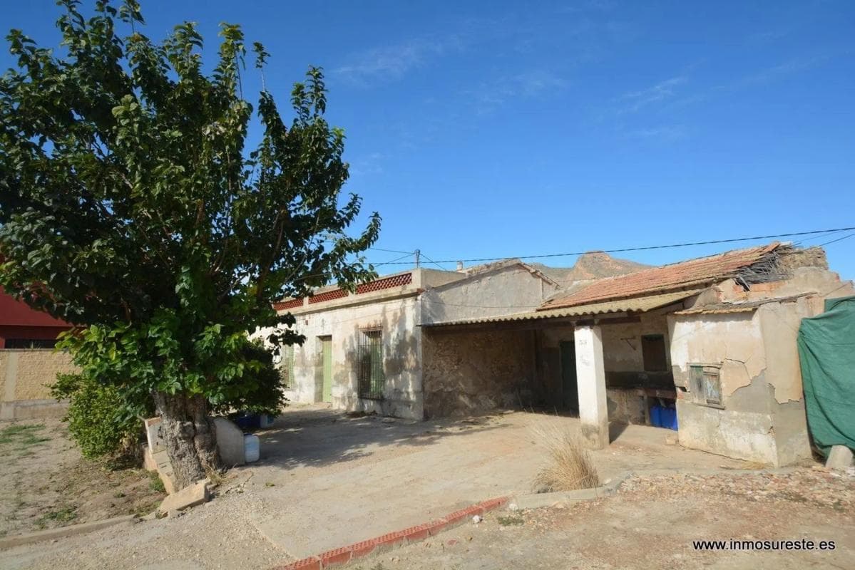 Venta de finca rústica en Molins-Campaneta-San Bartolomé , Orihuela photo 2