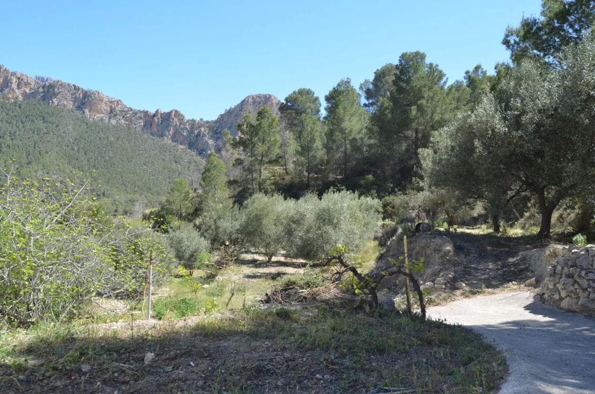 Property photo 4