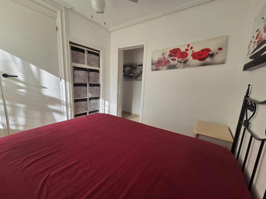 Venta de chalet independiente en Barrio La Siesta - El Salado - Torreta, Torrevieja
photo 4
