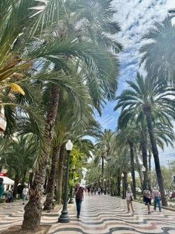 Piso en venta en Avenida de Ramón y Cajal, 7, Alicante / Alacant
thumbnail 1