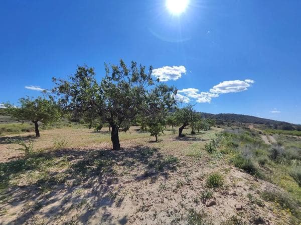 Rustic farm for sale in Orihuela , Orihuela photo 1