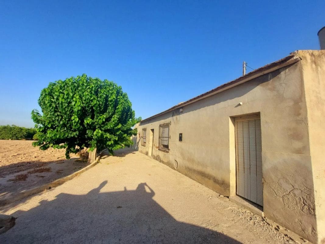 Venta de finca rústica en Desamparados-Hurchillo-Torremendo , Orihuela photo 4
