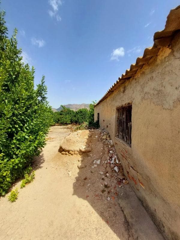 Venta de finca rústica en Desamparados-Hurchillo-Torremendo , Orihuela photo 5