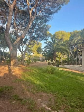 Продаётся загородный участок в Barrio Lomas de Cabo Roig-Los Dolses , Ориуэла photo 1